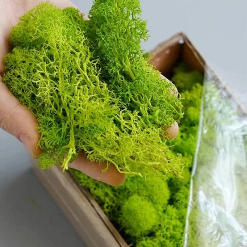 20-200g Yapay Yeşil Bitkiler S - Terrarium Moss Art incelemesi ve fiyatı